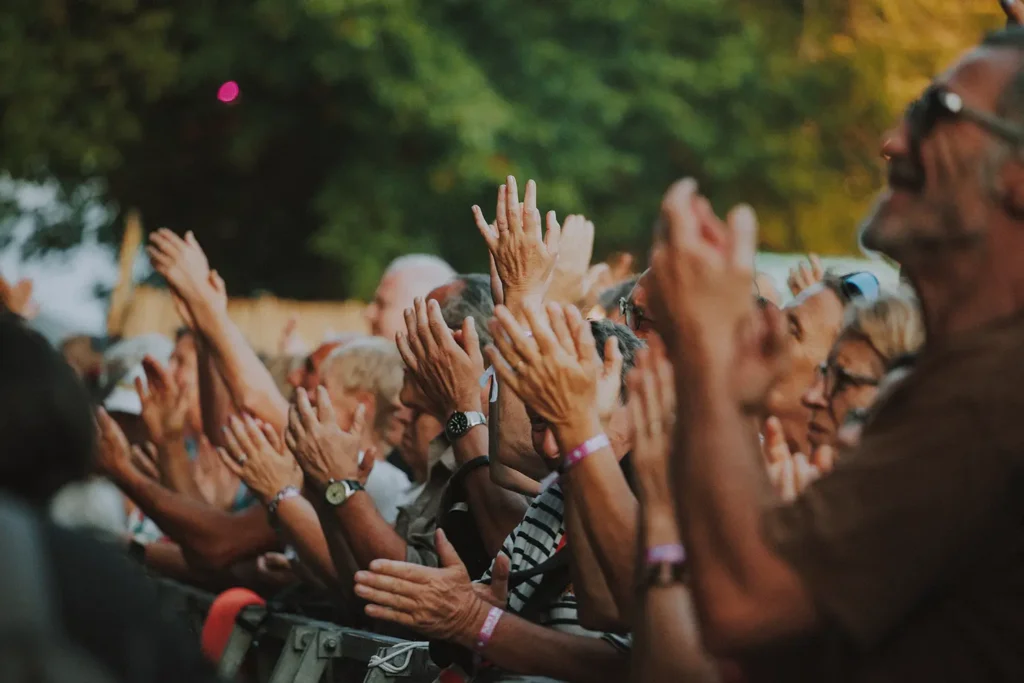 Photo de détail : mains levées du public applaudissant en rythme lors d'un spectacle au festival Musicalarue capturées par l'agence ADIO